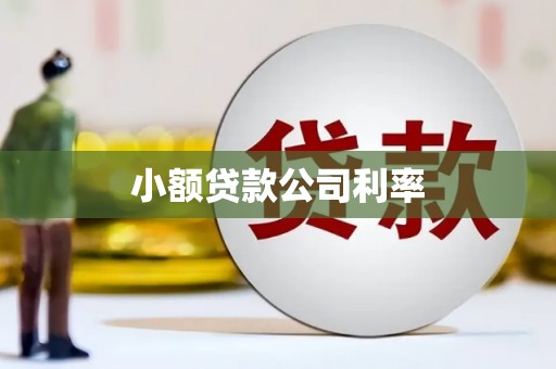 虞城小额贷款公司利率