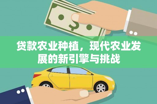 虞城贷款农业种植，现代农业发展的新引擎与挑战