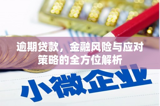 虞城逾期贷款，金融风险与应对策略的全方位解析