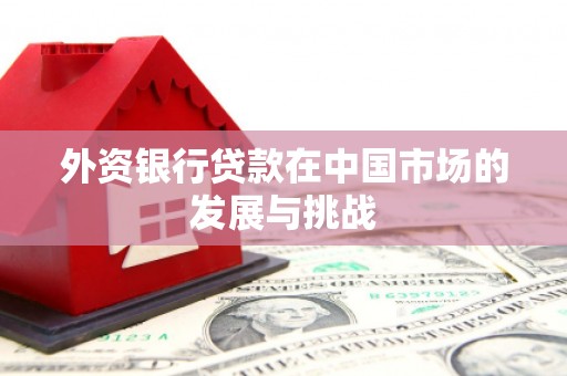 虞城外资银行贷款在中国市场的发展与挑战