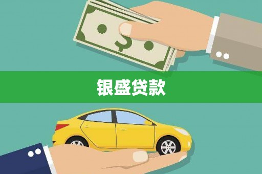 虞城银盛贷款