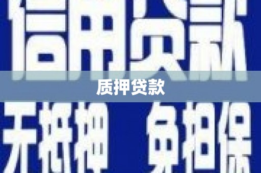虞城质押贷款