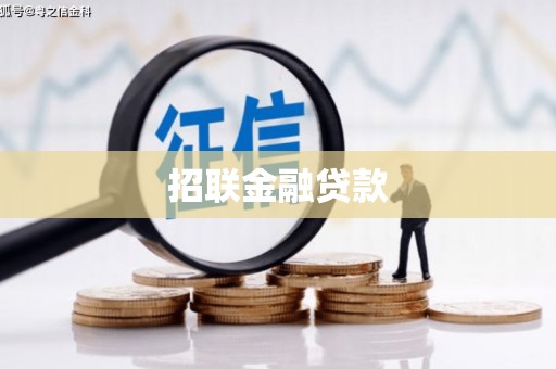 虞城招联金融贷款
