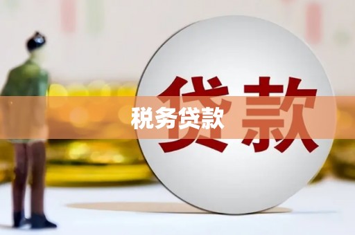 虞城税务贷款