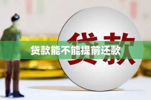 虞城贷款能不能提前还款