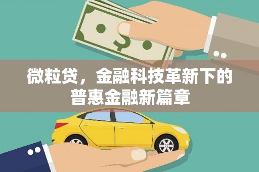 虞城微粒贷，金融科技革新下的普惠金融新篇章