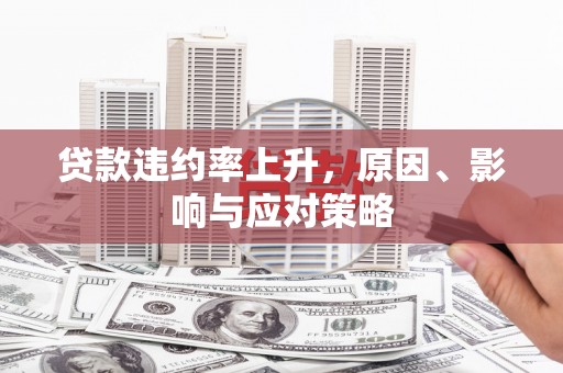 虞城贷款违约率上升，原因、影响与应对策略