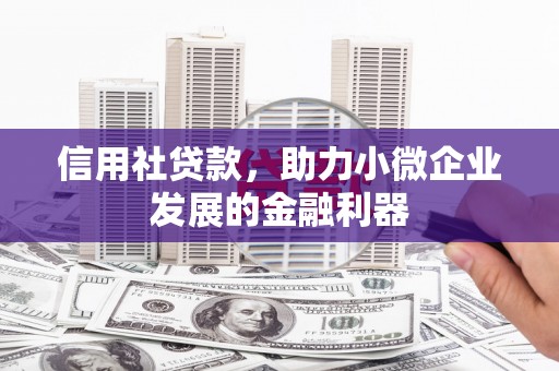 虞城信用社贷款，助力小微企业发展的金融利器