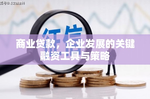 虞城商业贷款，企业发展的关键融资工具与策略
