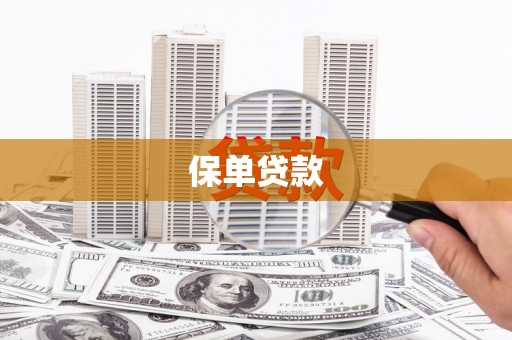 虞城保单贷款
