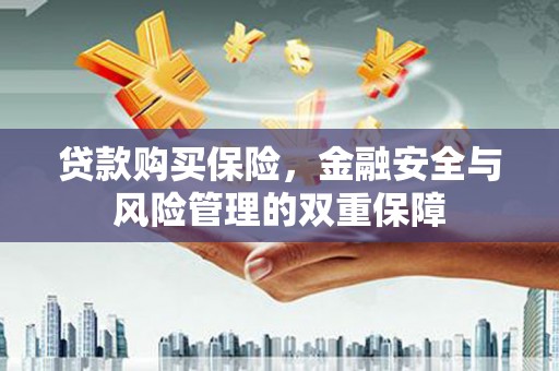 虞城贷款购买保险，金融安全与风险管理的双重保障