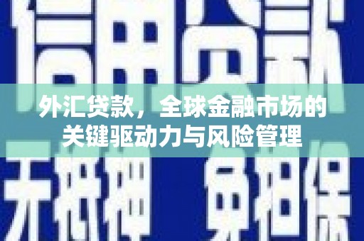 虞城外汇贷款，全球金融市场的关键驱动力与风险管理