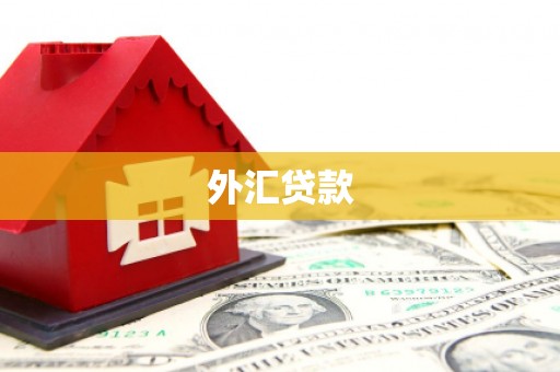 虞城外汇贷款