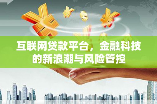 虞城互联网贷款平台，金融科技的新浪潮与风险管控