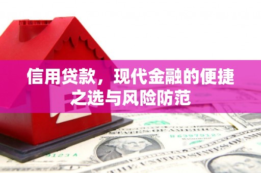 虞城信用贷款，现代金融的便捷之选与风险防范