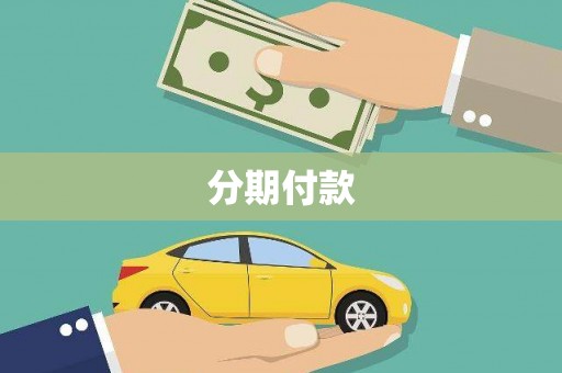 虞城分期付款