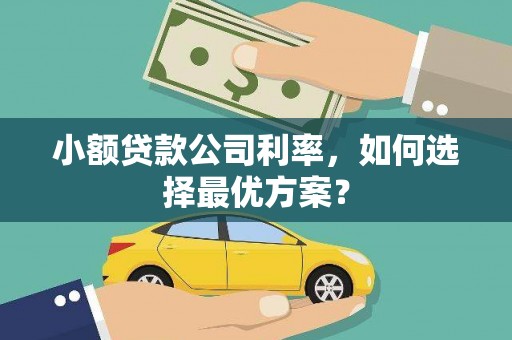 虞城小额贷款公司利率，如何选择最优方案？