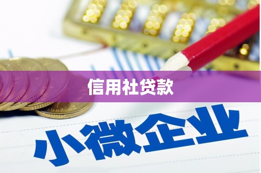 虞城信用社贷款