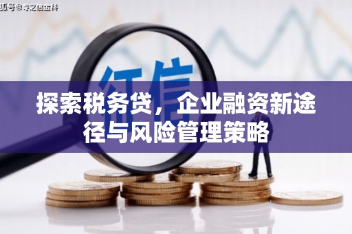 虞城探索税务贷，企业融资新途径与风险管理策略