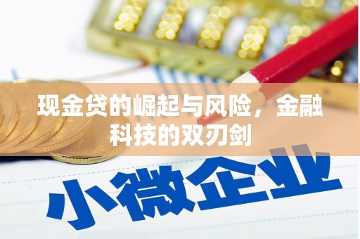 虞城现金贷的崛起与风险，金融科技的双刃剑