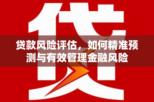 虞城贷款风险评估，如何精准预测与有效管理金融风险