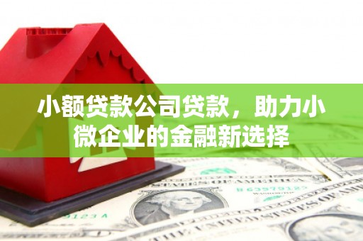 虞城小额贷款公司贷款，助力小微企业的金融新选择