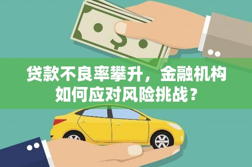 虞城贷款不良率攀升，金融机构如何应对风险挑战？
