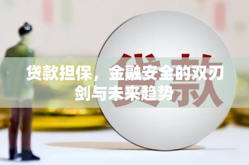虞城贷款担保，金融安全的双刃剑与未来趋势