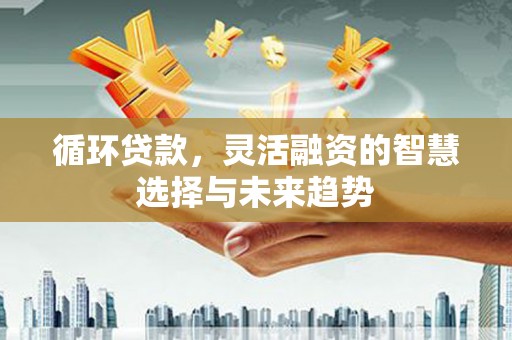虞城循环贷款，灵活融资的智慧选择与未来趋势