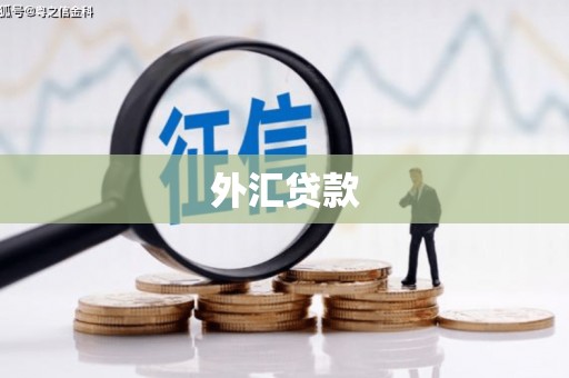 虞城外汇贷款
