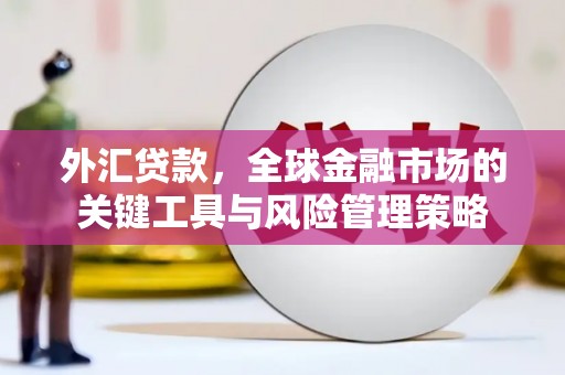 虞城外汇贷款，全球金融市场的关键工具与风险管理策略