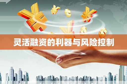 虞城灵活融资的利器与风险控制