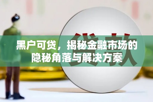 虞城黑户可贷，揭秘金融市场的隐秘角落与解决方案