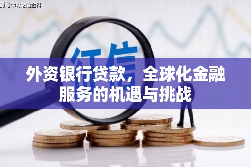 虞城外资银行贷款，全球化金融服务的机遇与挑战