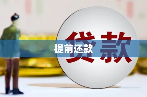 虞城提前还款