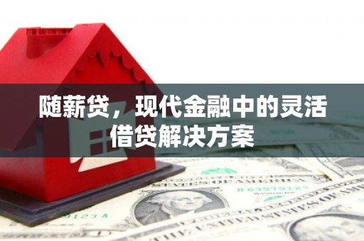 虞城随薪贷，现代金融中的灵活借贷解决方案