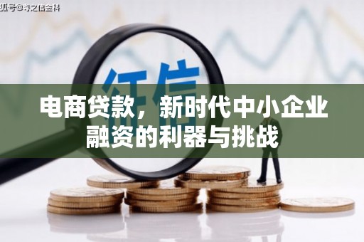 虞城电商贷款，新时代中小企业融资的利器与挑战