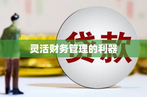 虞城灵活财务管理的利器