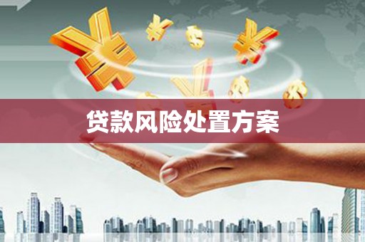 虞城贷款风险处置方案