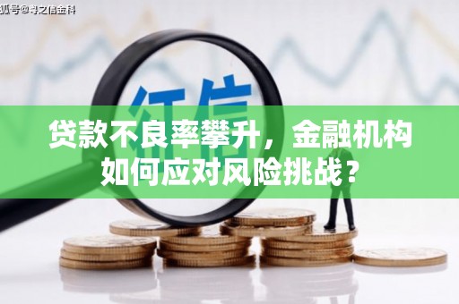 虞城贷款不良率攀升，金融机构如何应对风险挑战？