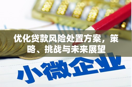 虞城优化贷款风险处置方案，策略、挑战与未来展望