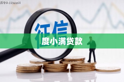 虞城度小满贷款