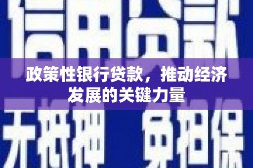 虞城政策性银行贷款，推动经济发展的关键力量