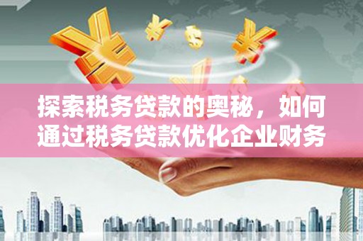 虞城探索税务贷款的奥秘，如何通过税务贷款优化企业财务