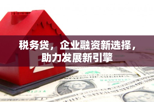 虞城税务贷，企业融资新选择，助力发展新引擎