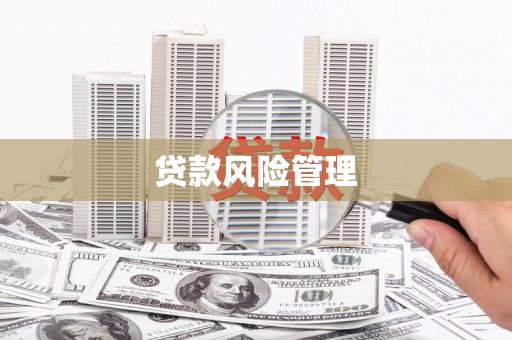 虞城贷款风险管理