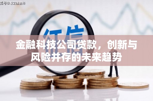 虞城金融科技公司贷款，创新与风险并存的未来趋势