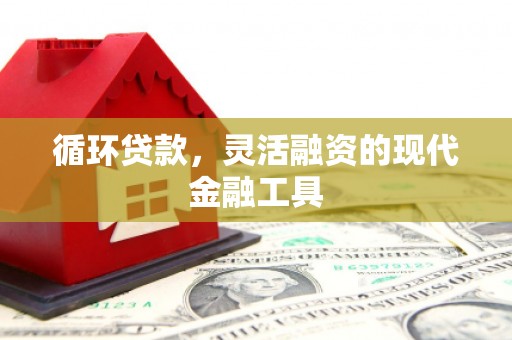 虞城循环贷款，灵活融资的现代金融工具