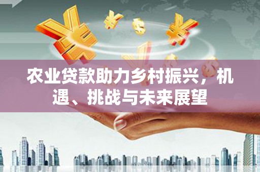 虞城农业贷款助力乡村振兴，机遇、挑战与未来展望