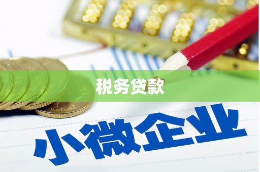 虞城税务贷款
